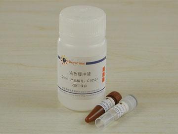 细胞周期与细胞凋亡检测试剂盒